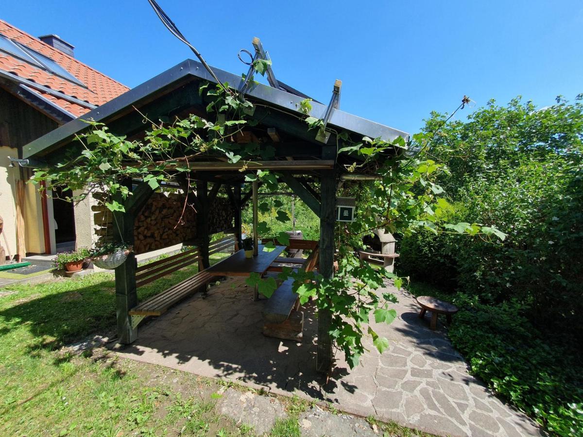 Das Gruene Haus Am Hexenstieg Rubeland Eksteriør billede