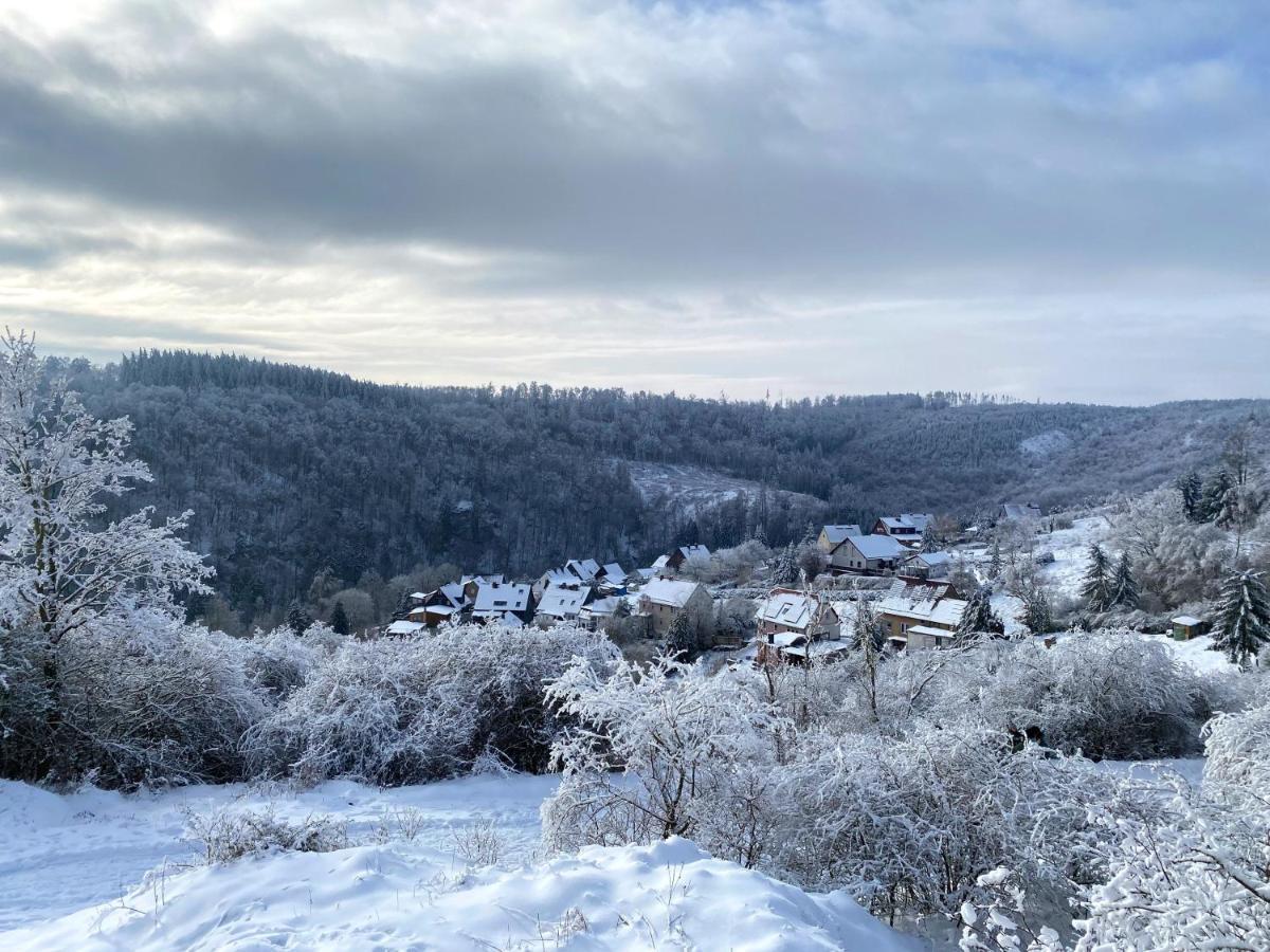 Das Gruene Haus Am Hexenstieg Rubeland Eksteriør billede