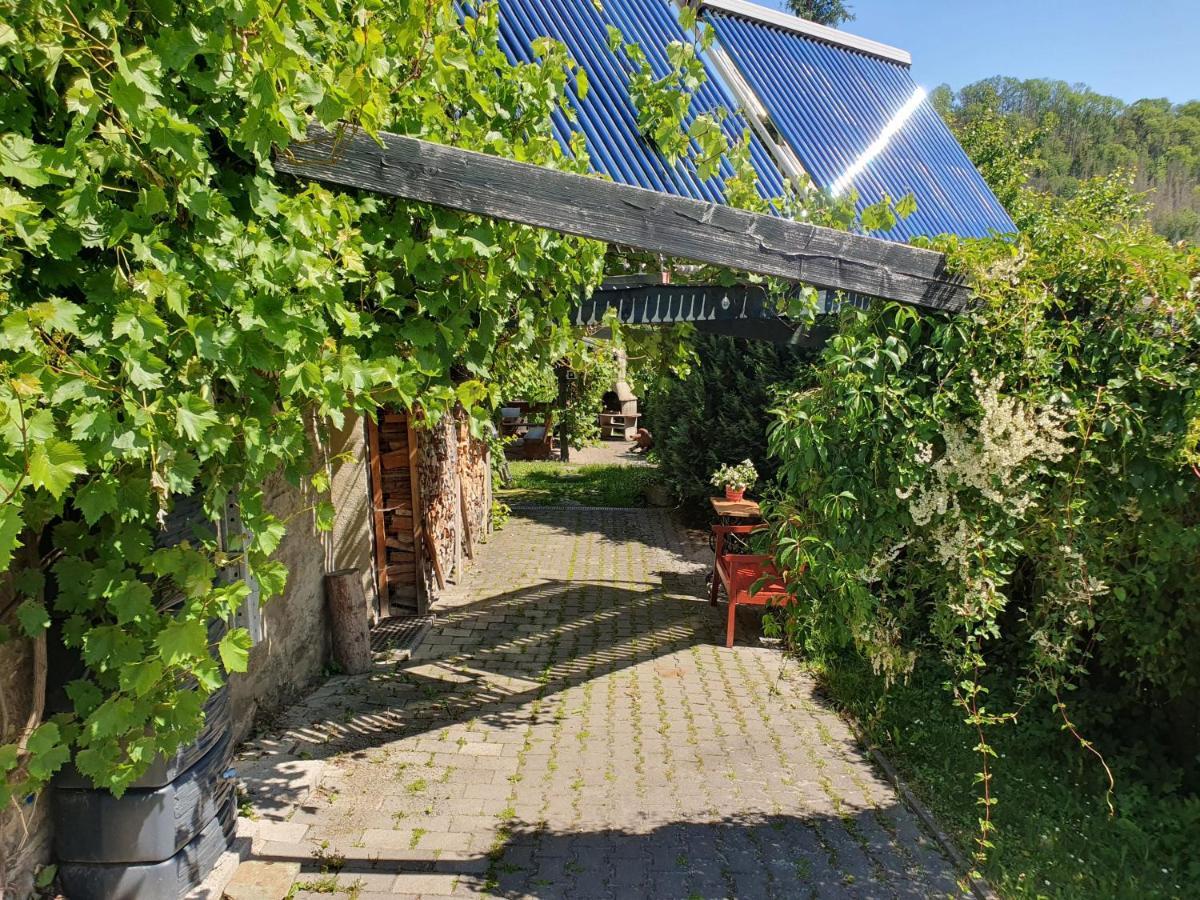 Das Gruene Haus Am Hexenstieg Rubeland Eksteriør billede