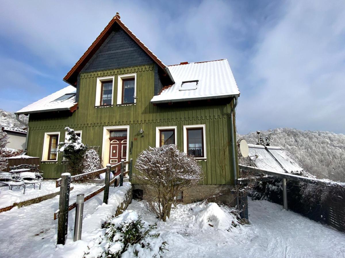 Das Gruene Haus Am Hexenstieg Rubeland Eksteriør billede