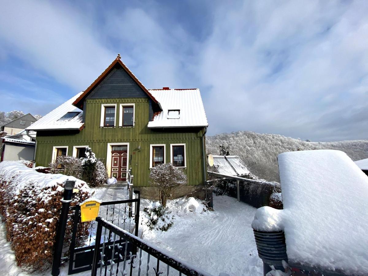 Das Gruene Haus Am Hexenstieg Rubeland Eksteriør billede
