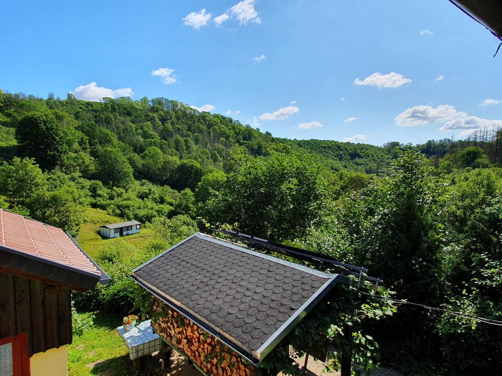 Das Gruene Haus Am Hexenstieg Rubeland Eksteriør billede